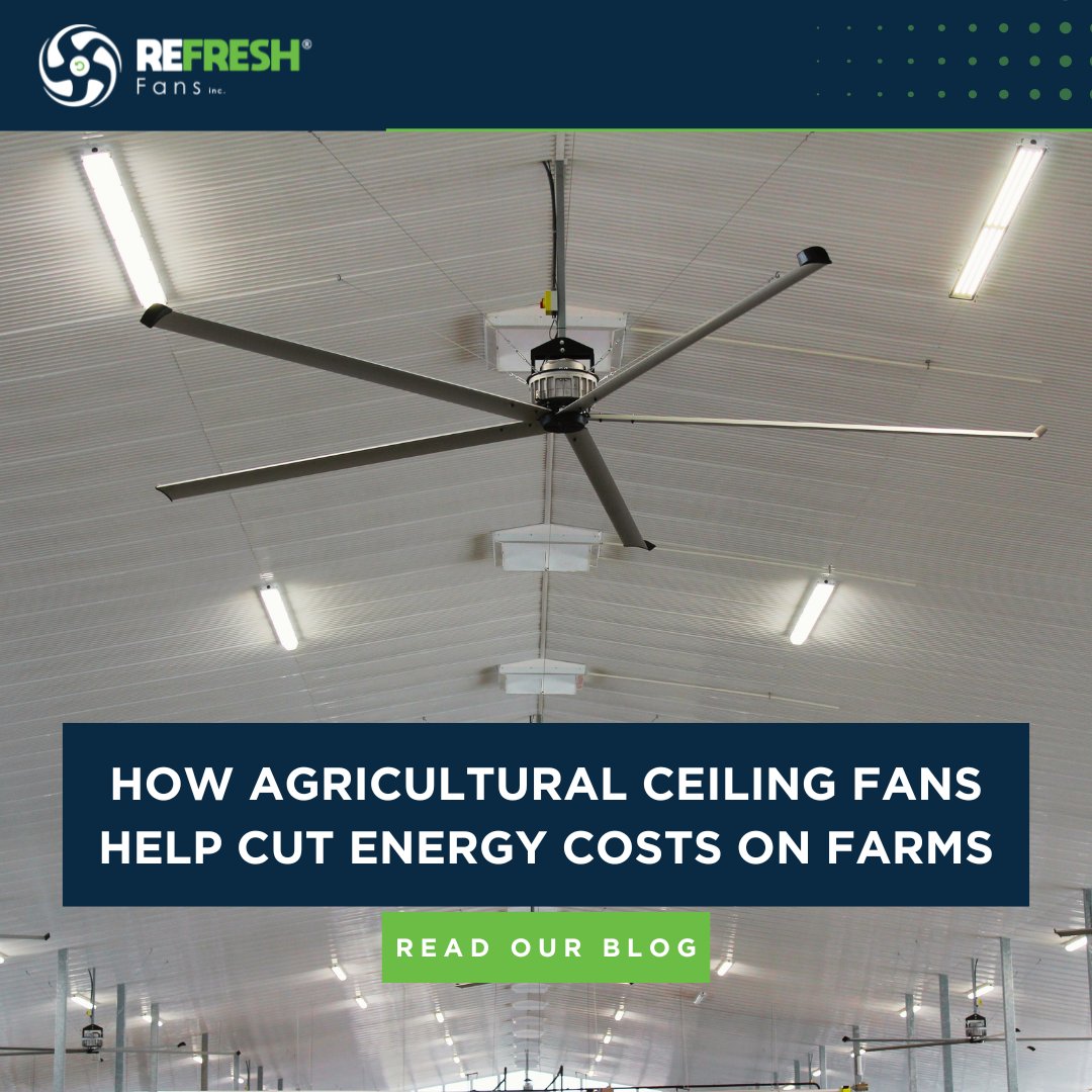 RefreshFans's tweet image. A smarter way to reduce energy costs and improve airflow on your farm! 

Read more to see how our fans can power up your farm’s efficiency: refreshfans.com/agricultural-c…

#FarmCooling #EnergyEfficiency #AgriculturalSolutions #RefreshFans