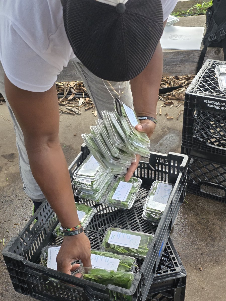 findingjusticeg's tweet photo. Getting are basil,collard, and wide selection of peppers ready to be delivered to St. Marti de pores food pantry 😁 https://t.co/7l8RqVCT9a