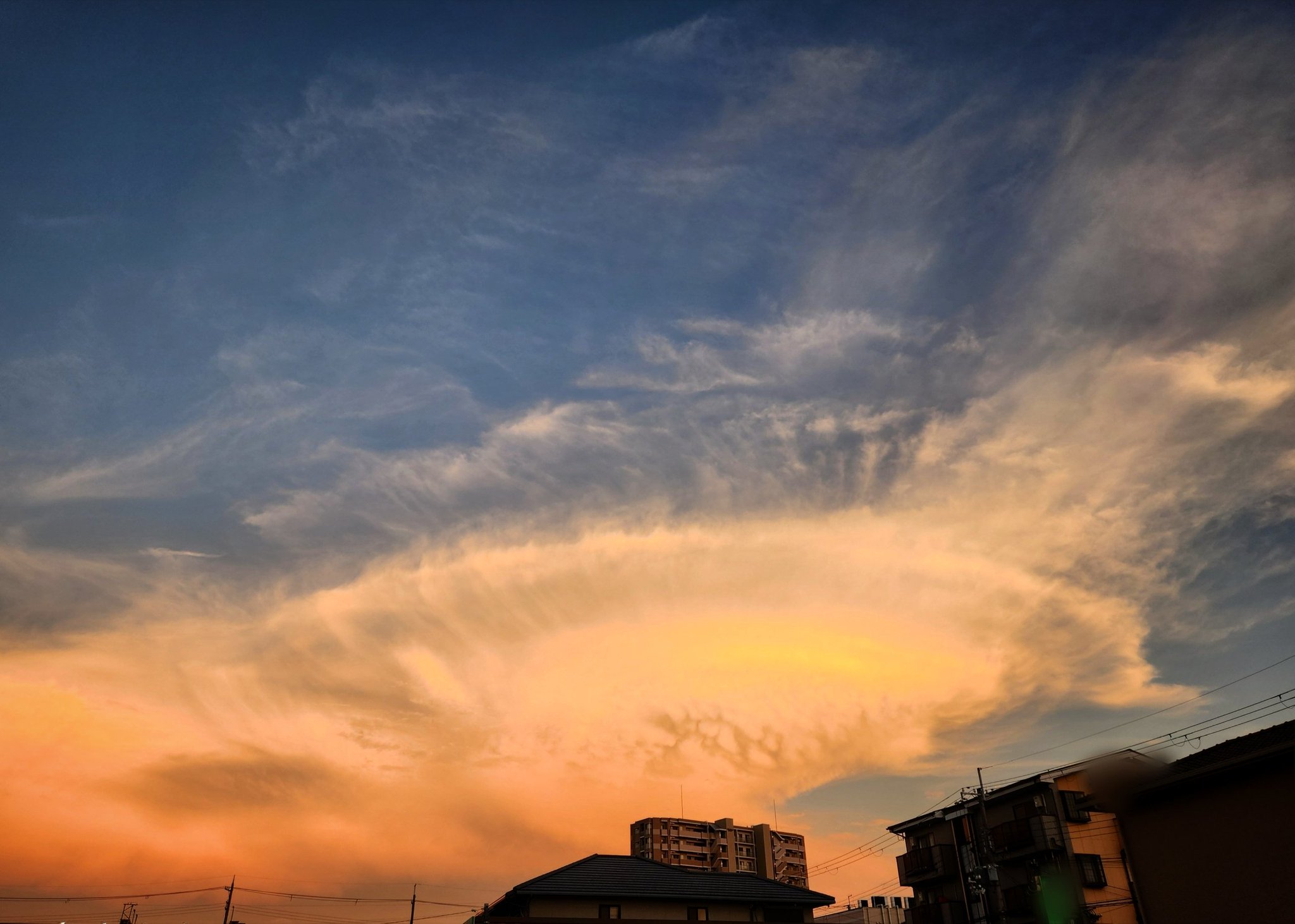 雲雲雲の下 はざら on X: 