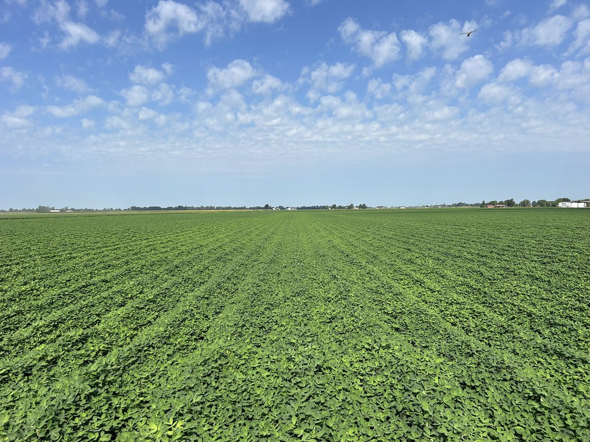 The Notorious H.Y.D.R.O. tweet media