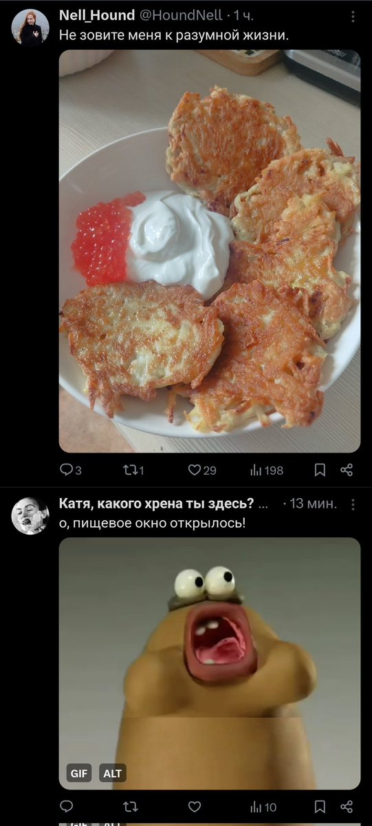 Net_Mouse_spb's tweet image. Рубрика &quot;Два твита&quot;
