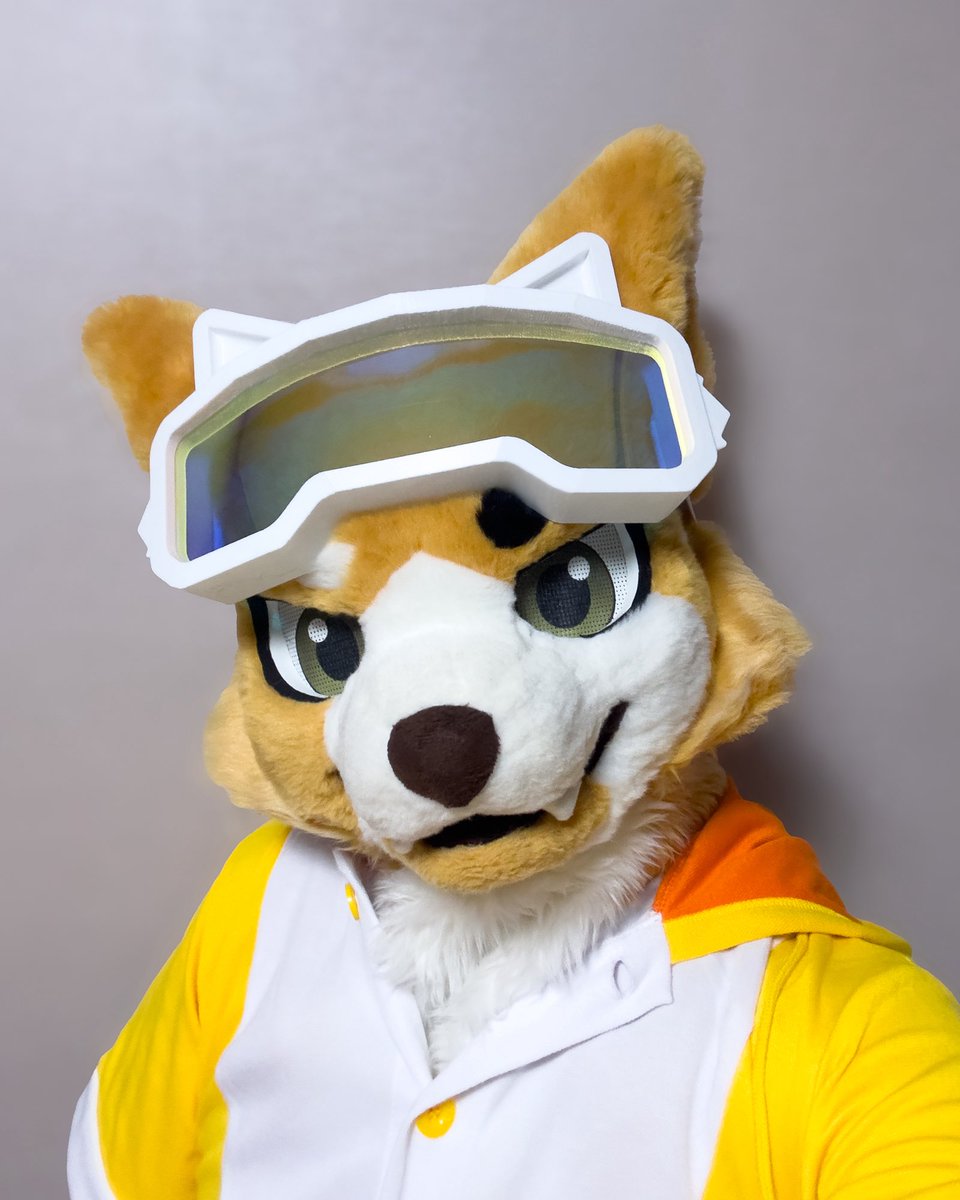🥽

#FursuitsEveryday