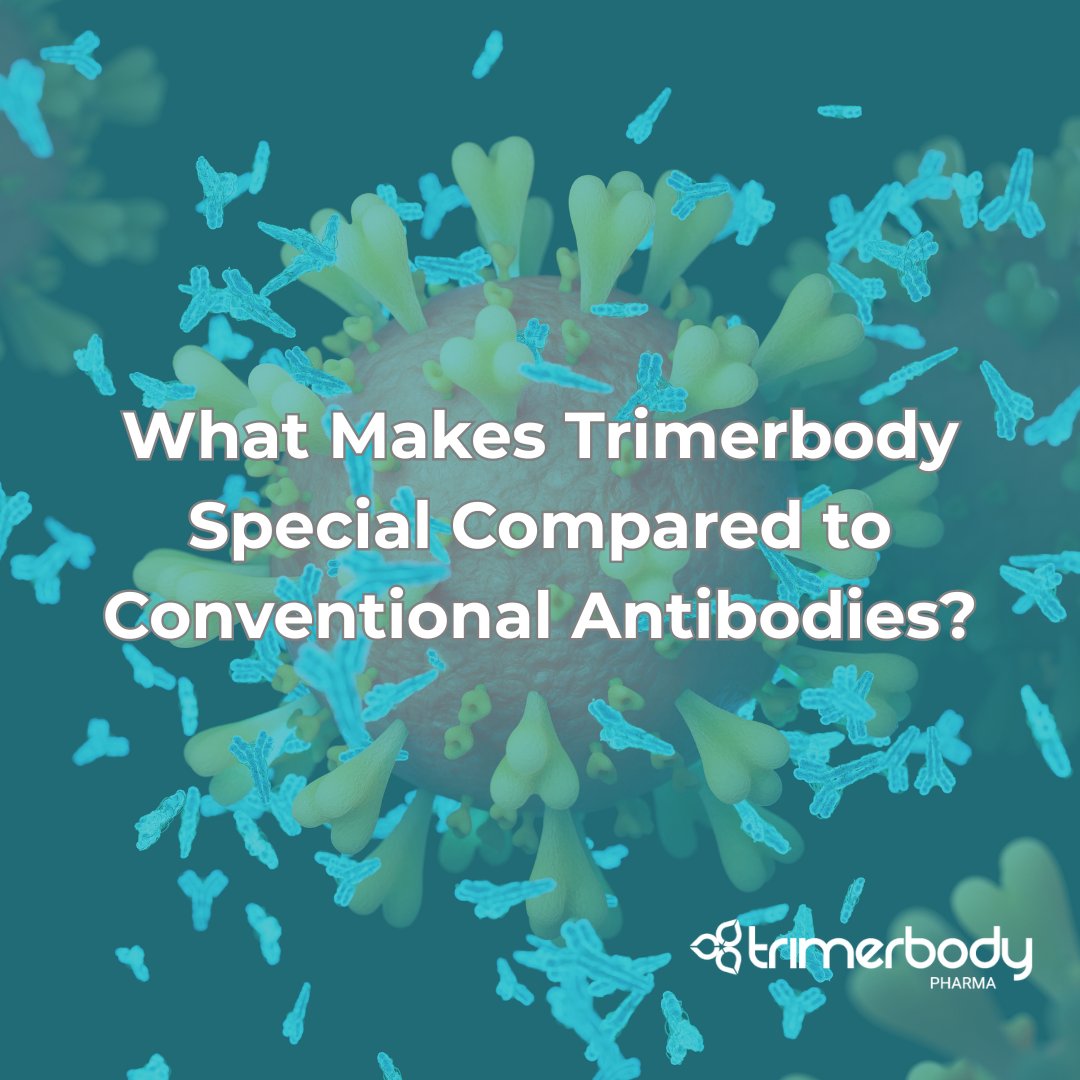 TrimerbodyPh's tweet image. 🧬 Not all antibodies are the same.
At Trimerbody Pharma, our Trimerbody platform:
✅ Targets multiple tumor markers
✅ Boosts immune response precisely
✅ Maximizes efficacy, minimizes toxicity
Next-gen, personalized immunotherapies.
💚 Science brings us closer to hope.