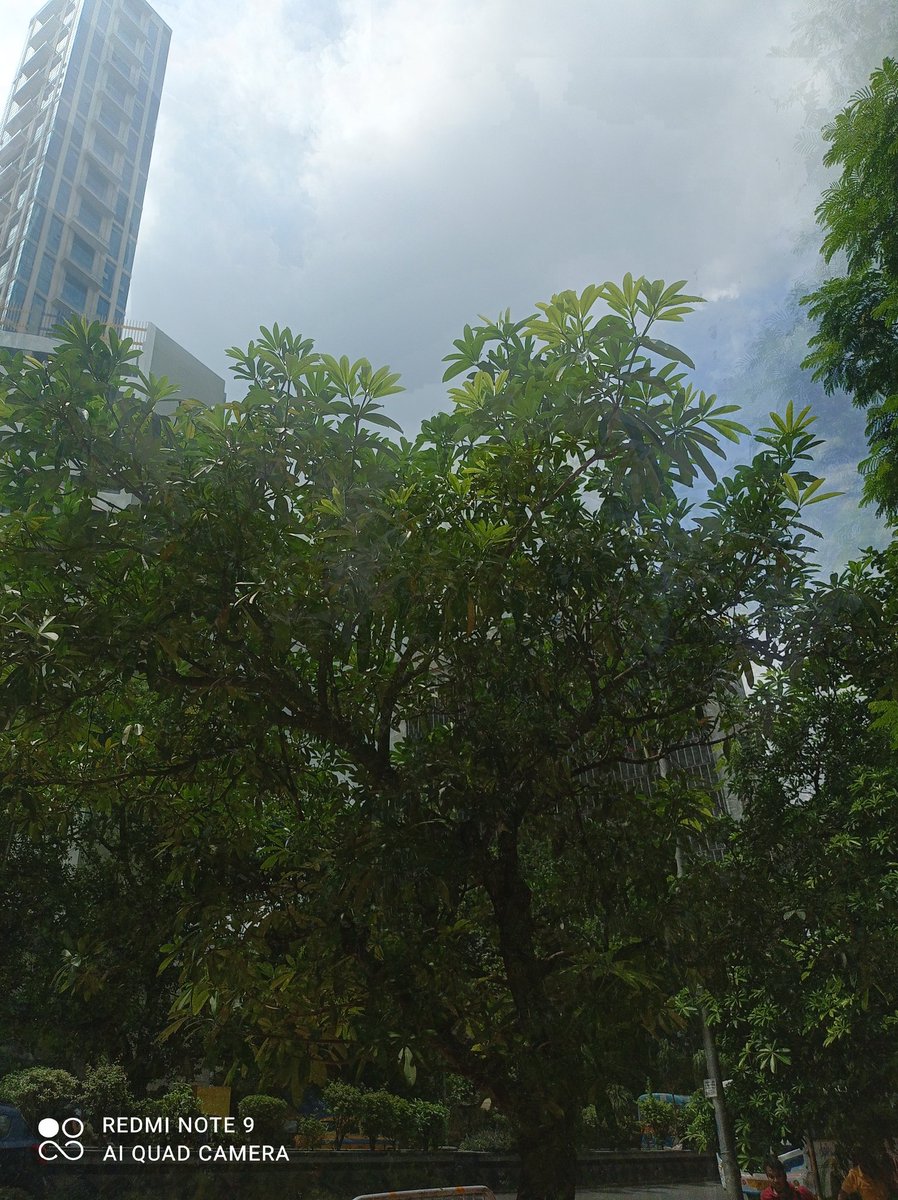 মেঘ তুমি চাঁদকে ঢেকো
যদি ওঠে
চন্দ্রমল্লিকা যেন
না ফোটে
আমারই চাঁদ আমার থাকুক
কেউ যেন না দেখে তারে