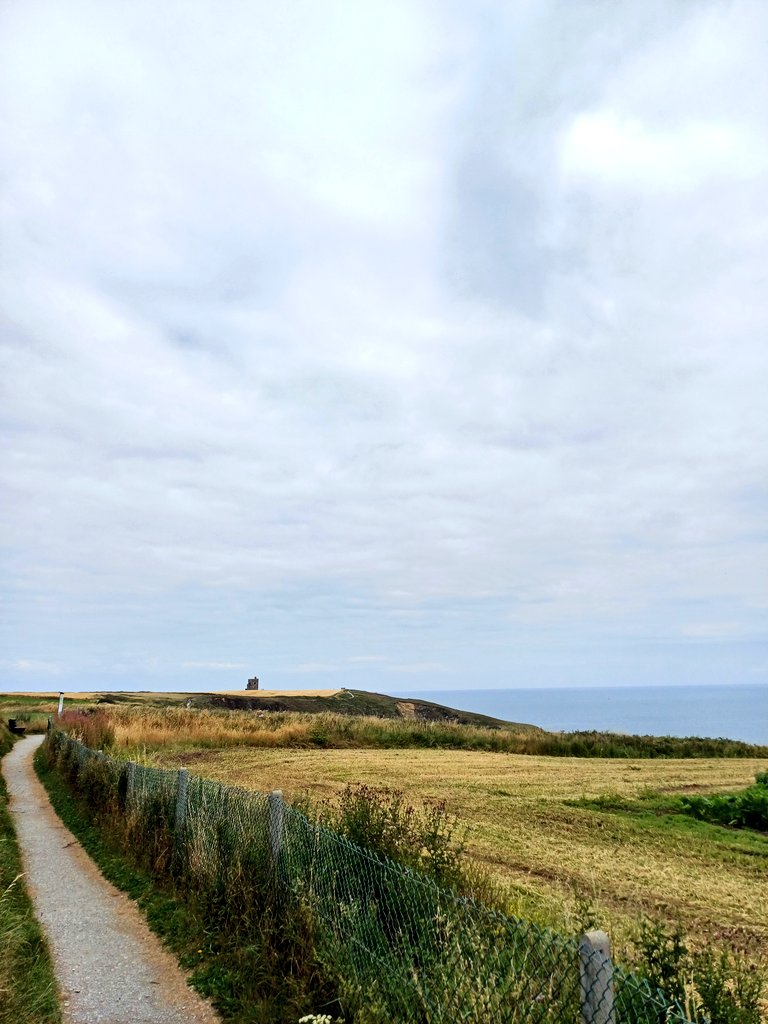 📍Ardmore Cliff Walk