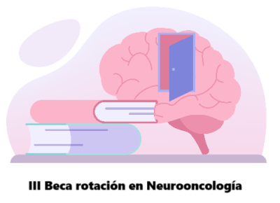 Hasta el 30 de septiembre se pueden enviar solicitudes para optar a la III Beca de rotación del Grupo de Estudio de #Neurooncología de la SEN. 
Más info: sen.es/noticias-y-act…