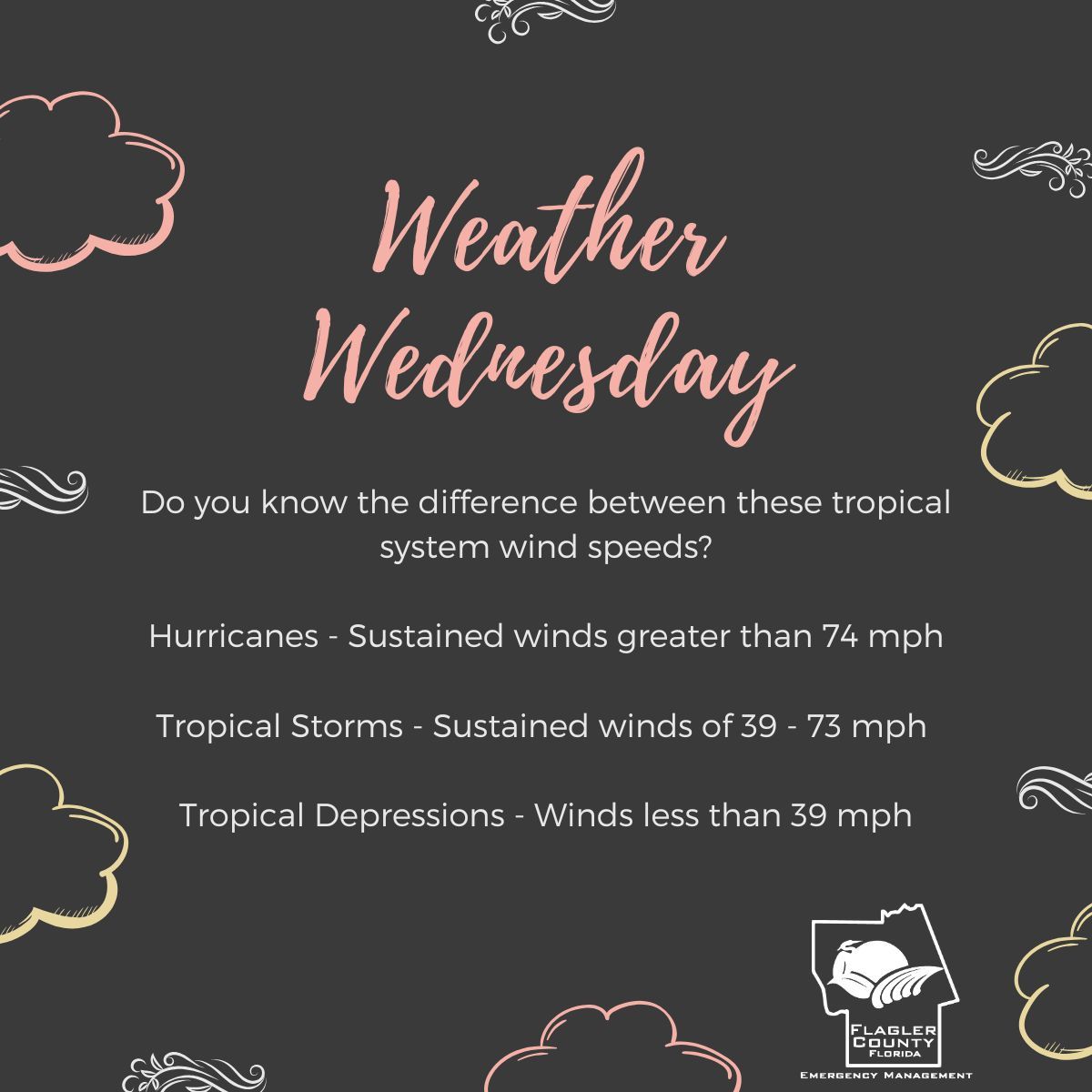 FlaglerEOC's tweet image. ๐ช๏ธ Weather Wednesday
Do you know the difference between these tropical system wind speeds? ๐ด๐จ
๐ Hurricanes โ Sustained winds greater than 74 mph
๐ง๏ธ Tropical Storms โ Winds between 39โ73 mph
๐ฆ๏ธ Tropical Depressions โ Winds less than 39 mph
#WeatherWednesday #StormSeason