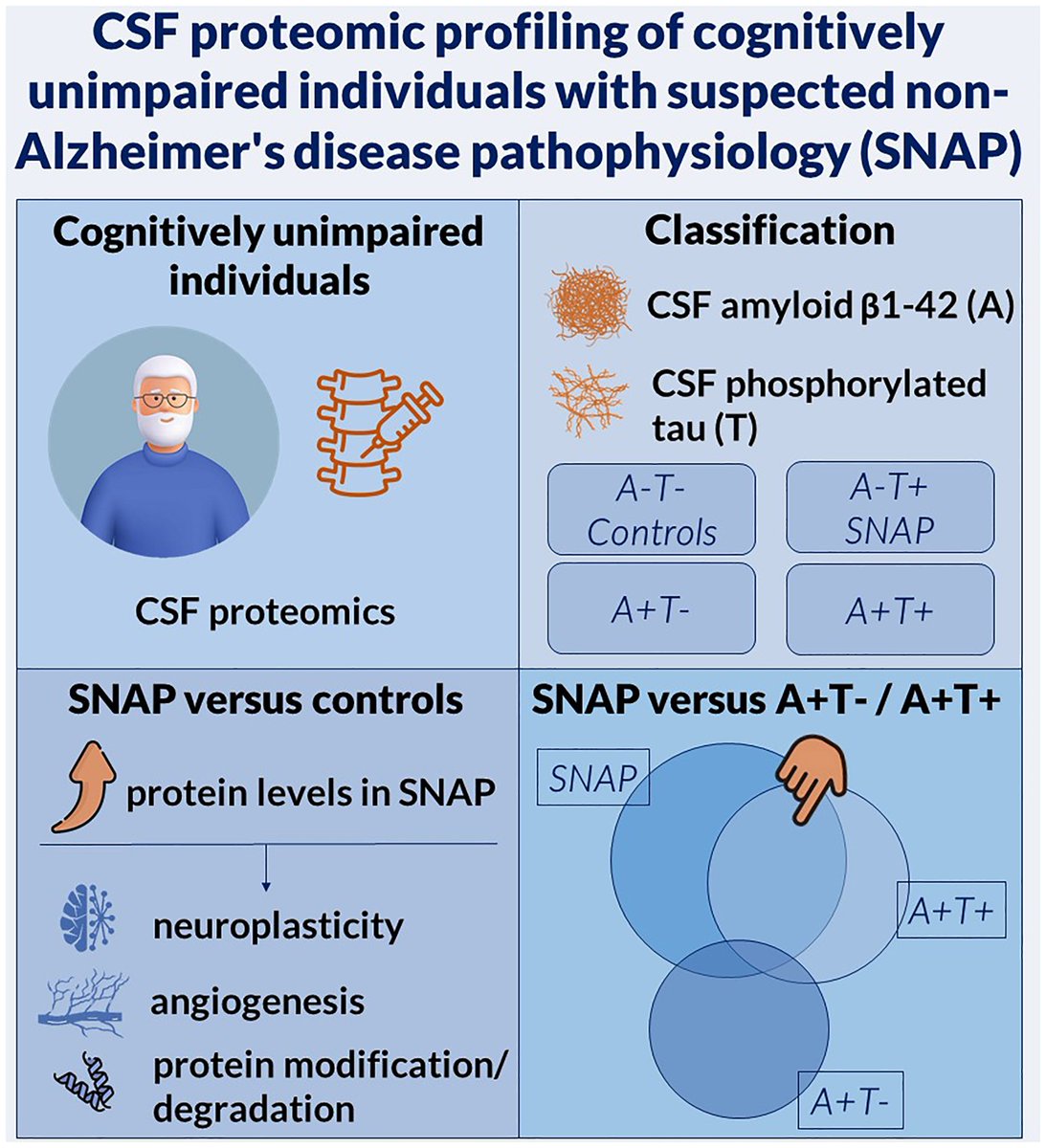 braincomms's tweet image. Delvenne et al. investigated pathophysiology of suspected non-Alzheimer’s disease pathophysiology (SNAP) in cognitively unimpaired individuals using cerebrospinal fluid proteomics; increased neuroplasticity proteins suggest tau drives this change. Read at buff.ly/r4CFIKl