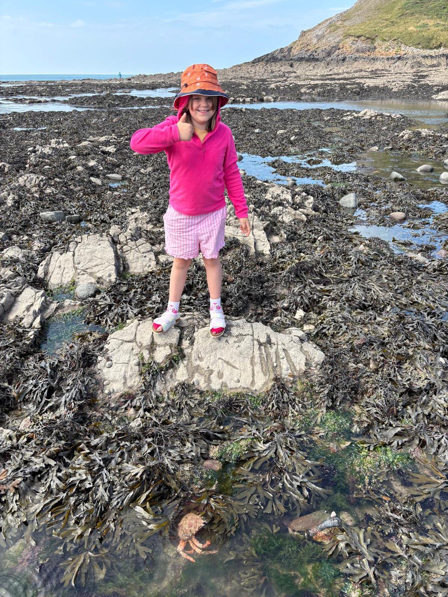 Managed to do a beach day with two very different children by finding out that artists were at Oxwich bay helping children do sand sculptures. After some rock pooling (spot the crab!), Josh made two lovely creatures and Grace has been paddle boarding, kayaking and swimming