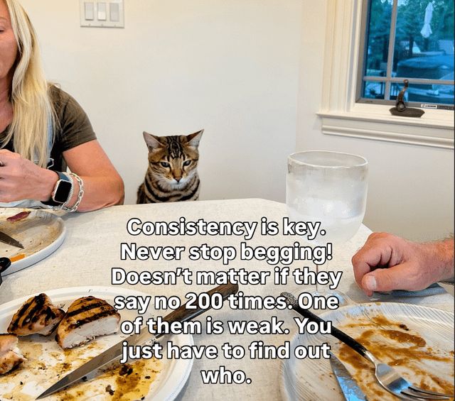 Satan (@s8n) on Twitter photo 