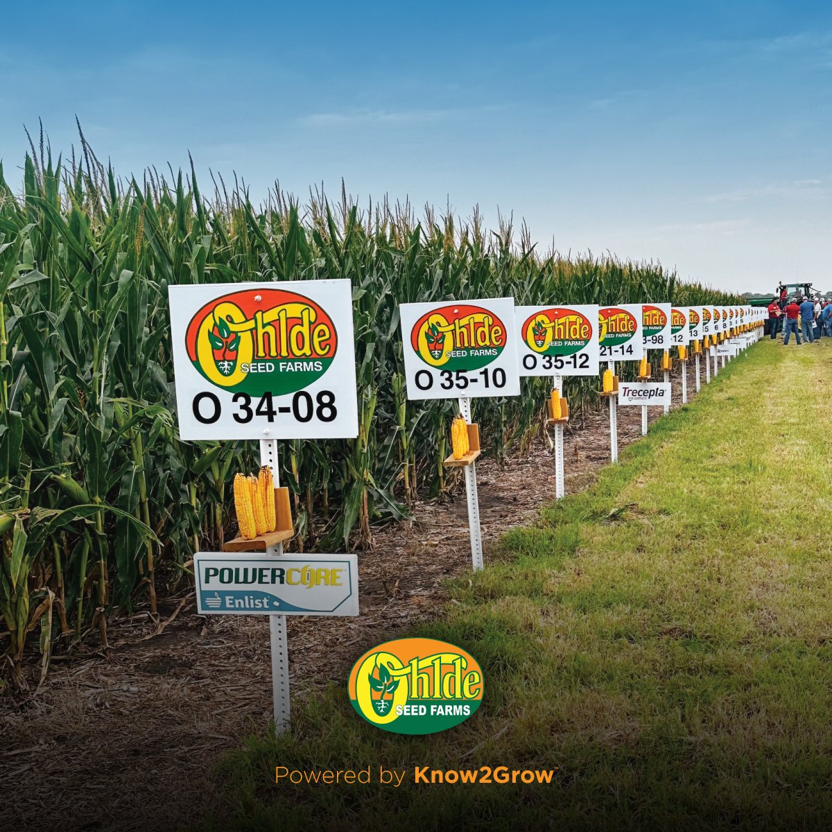 📢 Less than 4 weeks to go!
Our 2025 Know2Grow™ Field Day is coming up fast — August 20.
Come walk our research plots, talk with reps, and get your hands in the dirt. Submit your RSVP. 
Call our office at 785-692-4555 or send an email to Kaitlin at kaitlin@ohldeseed.com.