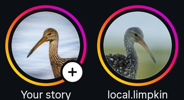 acealeam's tweet image. im assembling an army