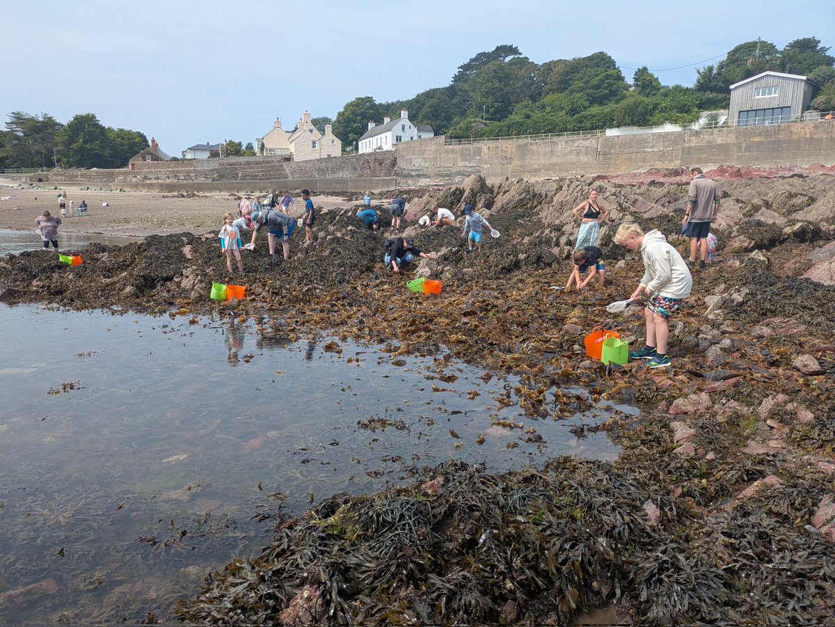 darwincentre's tweet image. Family fun on Dale beach today! We were joined by lots of enthusiastic families for a morning of marine biology. Conditions were great, some of the best push netting of the year! #Rockpooling #Pushnetting #Familyfun #Rockyshore #Intertidal #ShallowSeas #OceanLiteracy @DragonLng