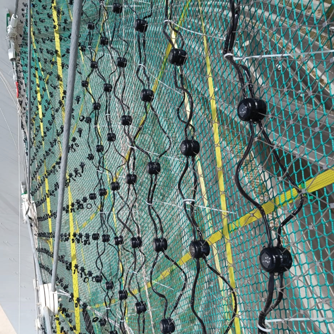 Color Kinetics tweet media