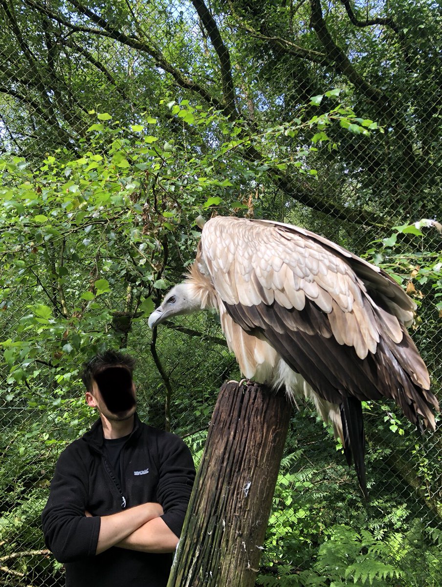 Hibernian22's tweet image. “I breed Himalayan vultures and sustain them on homeless Romas I abducted around the Spire…… Incantations of a Toyota Hilux owner……I am not here….”