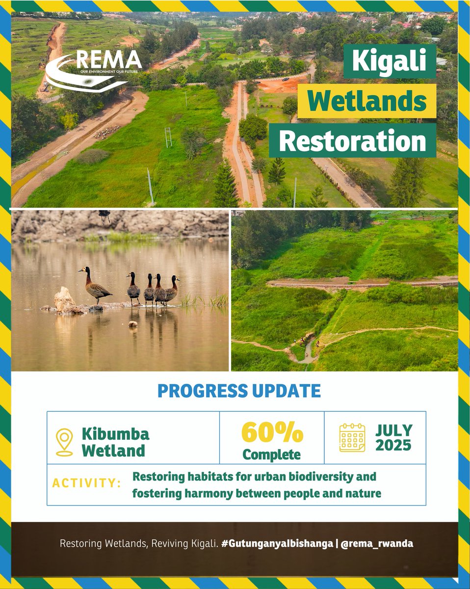 NKINDIPatrik's tweet image. ⏰
Ibikorwa byo gusubiranya ibishanga 5 byo muri @CityofKigali birakomeje.
Kimwe muri byo ni Igishanga cya #Kibumba kimaze kugera kuri 60% by’ikorwa.
Kibumba izafasha mu guhangana n’ibiza by’imyuzure, izaba ubusitani bw’ibinyabuzima kdi iri gutanga imirimo y’ibidukikije.