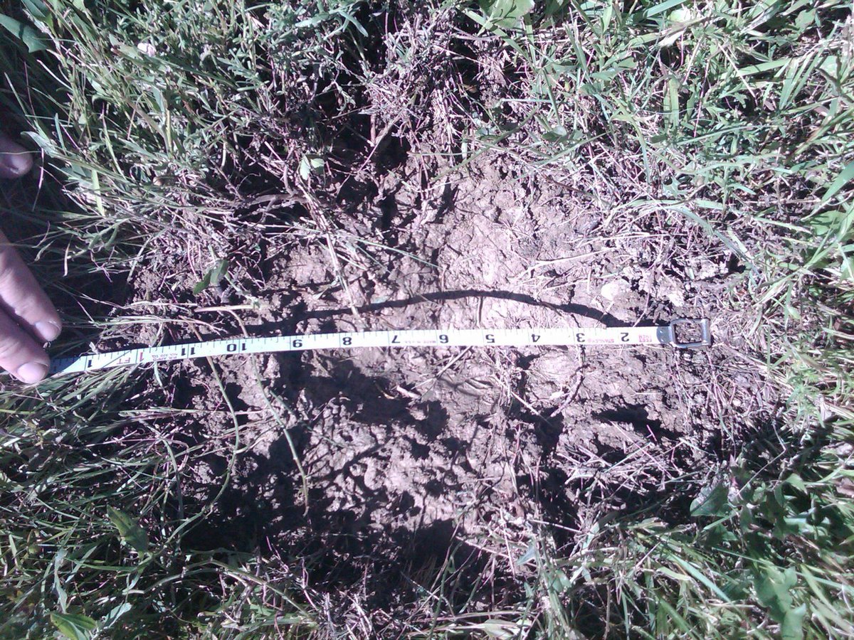 weather_history's tweet image. July 23, 2010:
The United States' record largest hailstone fell near Vivian, South Dakota. The stone was measured at an incredible 8.0" in diameter and had a weight of 1.9375 lbs. It was spawned by a powerful supercell that produced many other stones 6" or larger.
#wxhistory