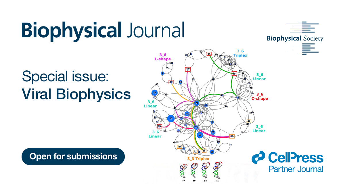 CellPressNews's tweet image. Call for papers for a Biophysical Journal (@BiophysicalSoc) special issue on viral biophysics.
Inviting contributions focused on the biophysical modeling of RNA viruses.
Submission deadline: January 15, 2026
Learn more: hubs.li/Q03yrbXj0