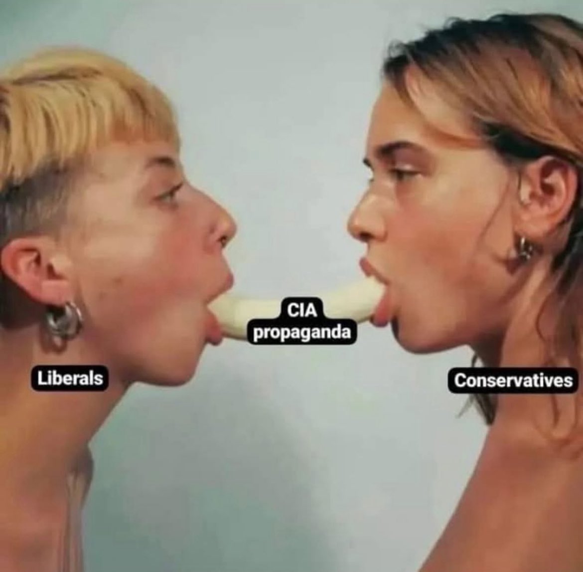 palpler's tweet image. 