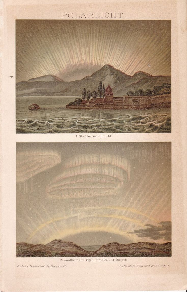 MayaCPopa's tweet image. Algis Valiunas in his review of Richard Holmes’s The Age of Wonder (2008): “Poetry needs science, which lifts the veil from nature, and science needs poetry, which elaborates for public appreciation the beauty of the secrets that have been unveiled.”