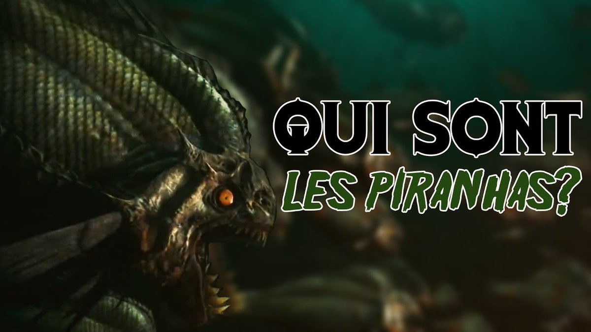AzzTheMad's tweet image. youtu.be/4jovvL3NnHU?si… Nouveau bestiaire de l'horreur !
Pour célébrer l'été, je reviens pour vous sur les Piranhas, antagonistes mortels de la saga éponyme...
Alors, oserez vous plonger ? 🐟🐠
Bonnes vacances ! 🔥
