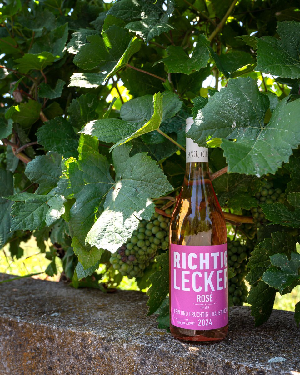 Our Richtig Lecker Rosé 2024 is all about freshness, flavour, and finesse.

The grapes come from our sun-drenched Dealul Țiganului vineyard and are, hand-harvested at sunrise to capture their natural acidity and aromatic brightness.