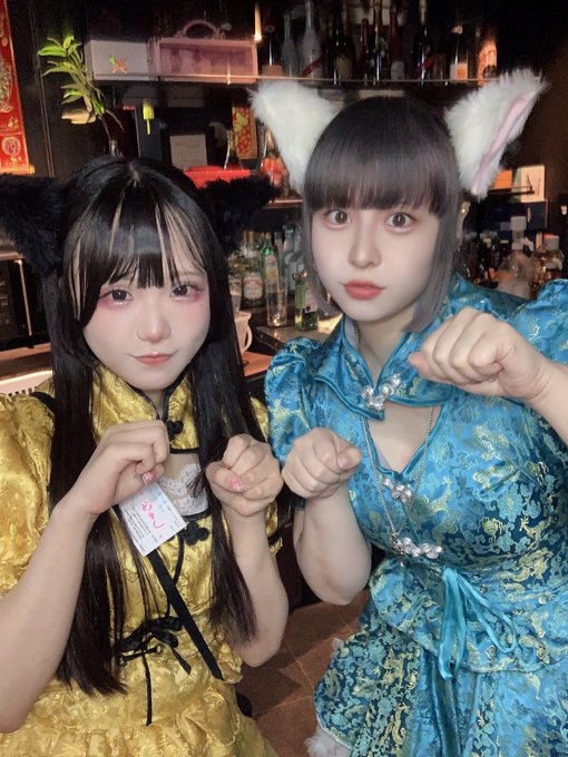 チャイニャコンカフェ桃猫堂恵比寿店