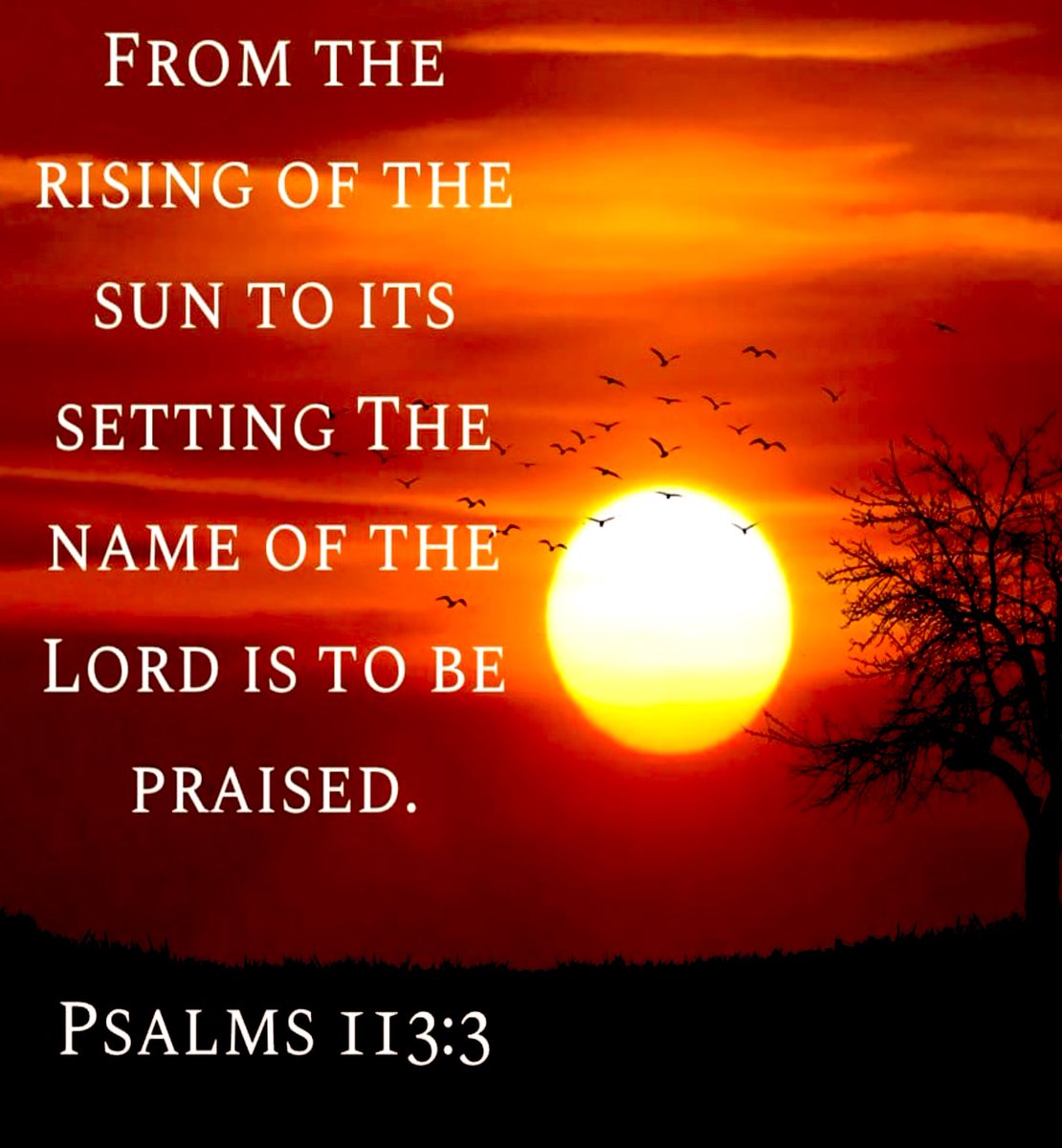 TerriGreenUSA's tweet image. “From the rising of the sun to its setting the name of the Lord is to be praised.” — Psalms 113:3