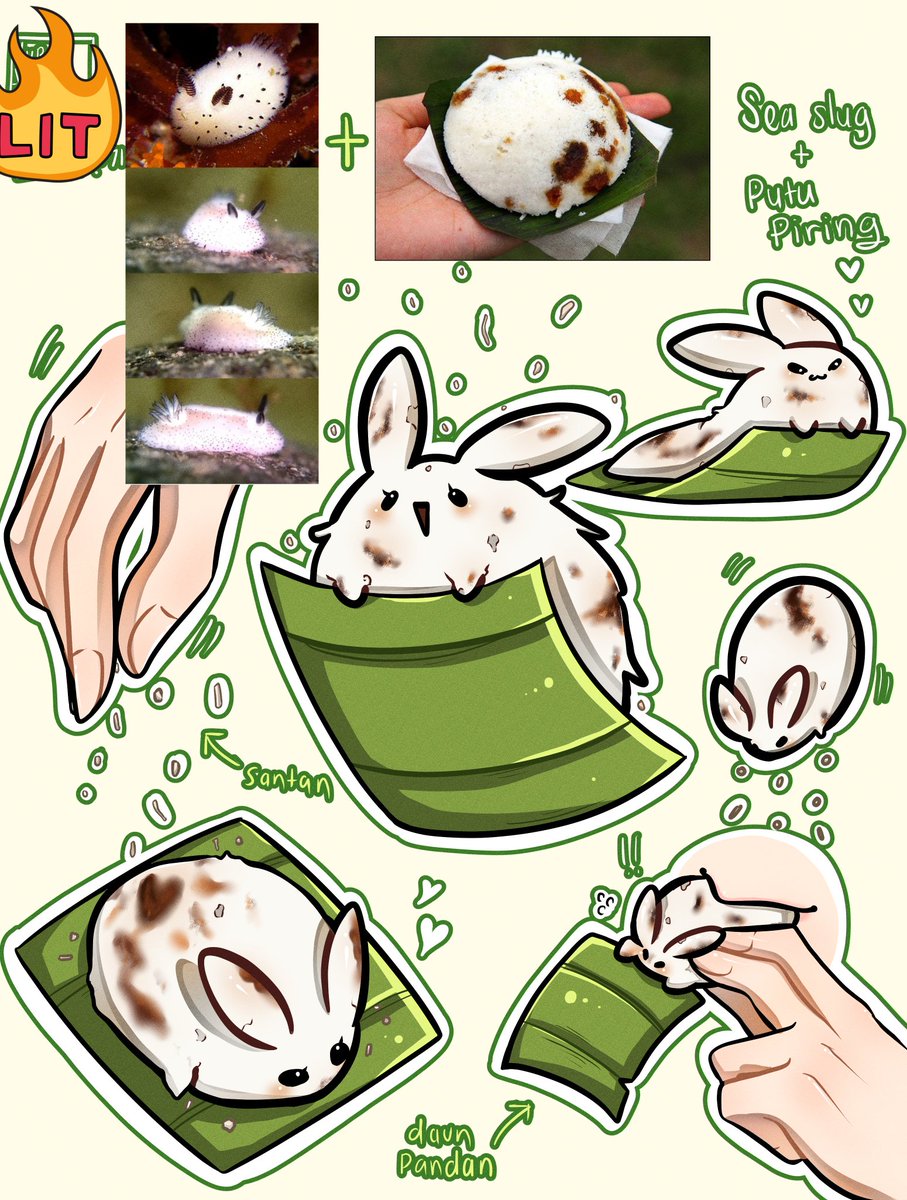 3ruwin___'s tweet photo. Assignments stuff
#seaslug #searabbit #putupiring https://t.co/DwonD9vuBZ