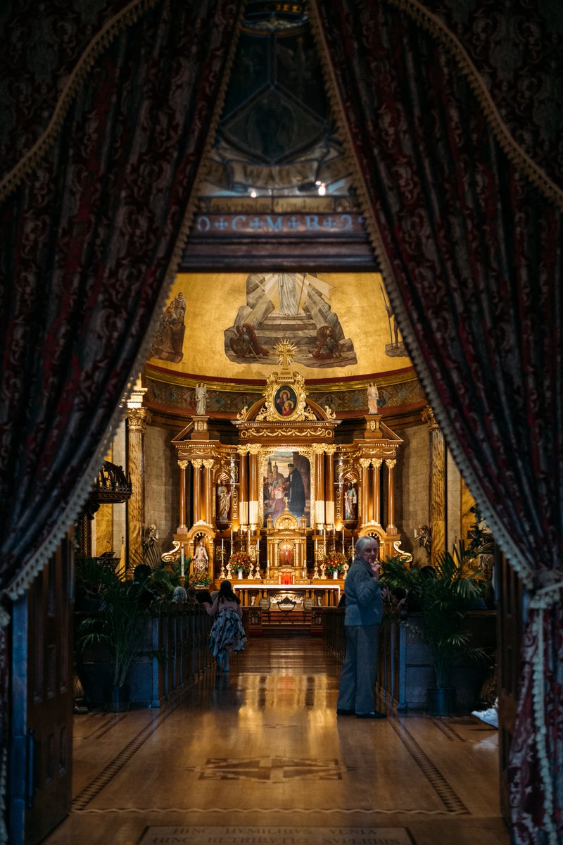 SJCantius's tweet image. “Give me, good Lord, such a love for you that I will love nothing in a way that displeases you, and I will love everything for your sake.” — St. Thomas More