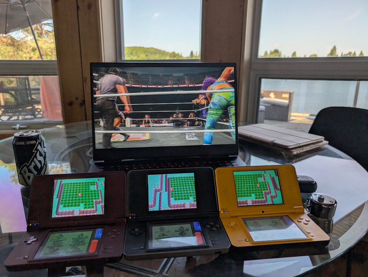 Ronk475's tweet image. Cottage setup goes hard