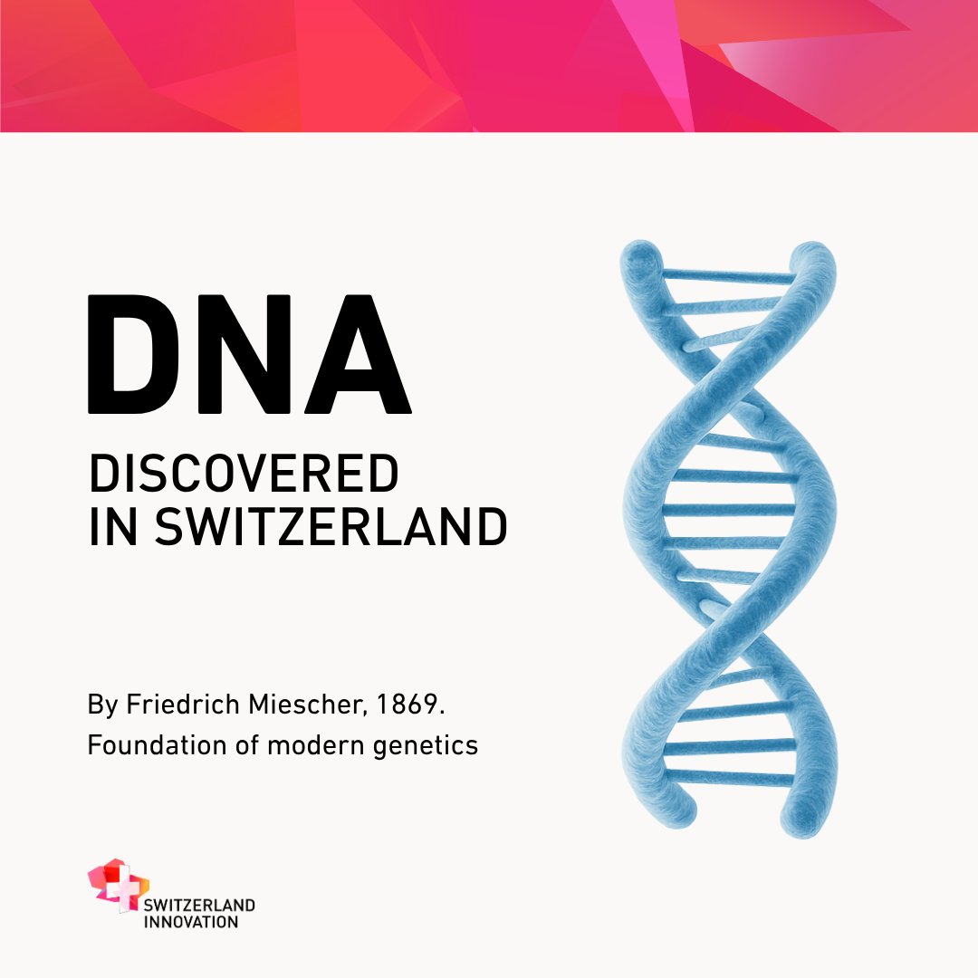 swissinnova's tweet image. 🇨🇭Swiss Science = Global Health
This summer, we're celebrating Swiss innovations that changed the world.
First up: health.
🧬 DNA, 💉 insulin, 🤧 antihistamines. Swiss science has long shaped the future of health!
Read more: linkedin.com/feed/update/ur…