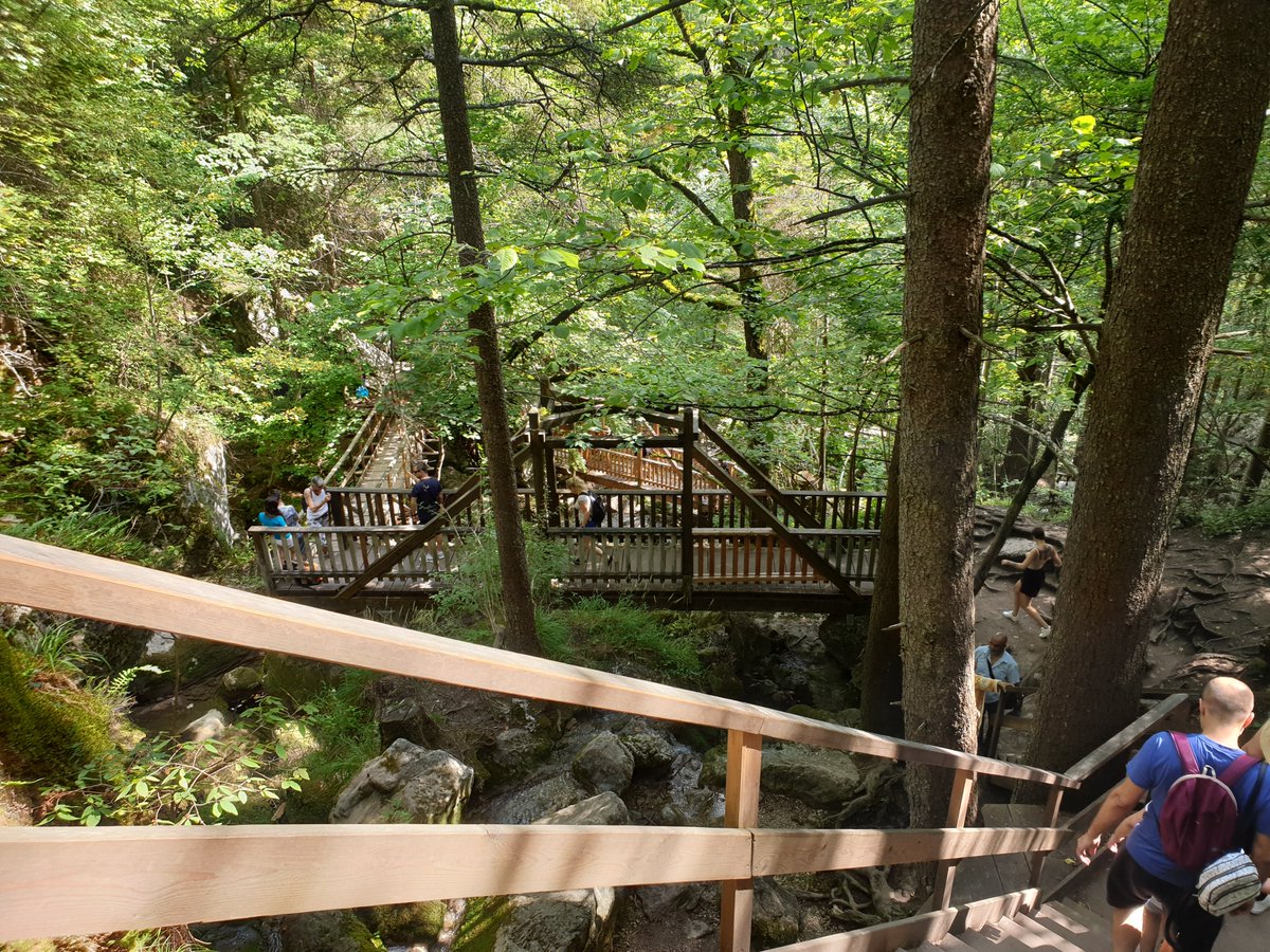 MicrobirdGames's tweet image. Real-life inspiration for &quot;Dungeons of Hinterberg&quot;: Hinterwald was inspired by the Myra falls in Lower Austra. A lovely forest hike across wooden bridges and stairs over waterfalls.