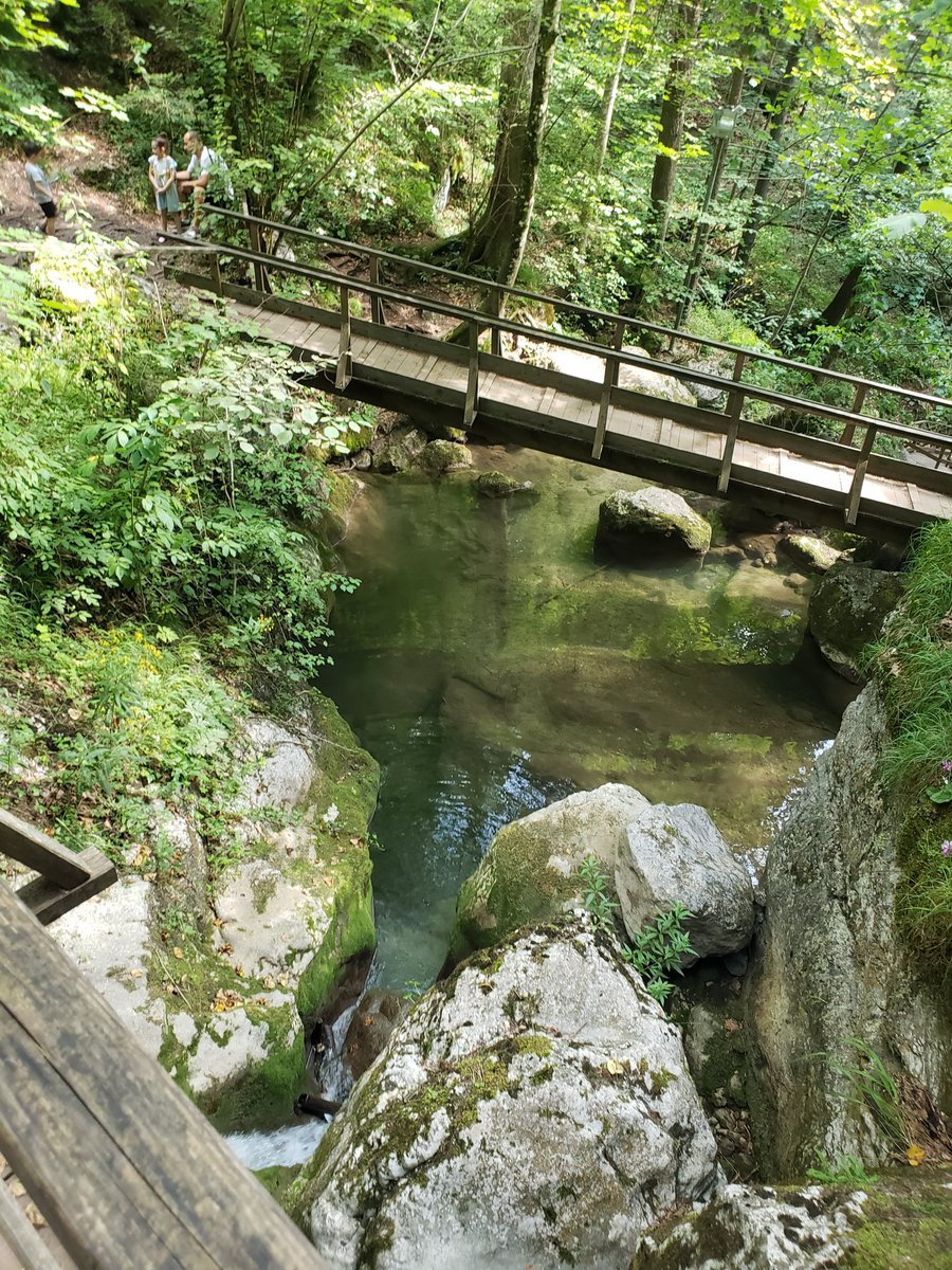 MicrobirdGames's tweet image. Real-life inspiration for &quot;Dungeons of Hinterberg&quot;: Hinterwald was inspired by the Myra falls in Lower Austra. A lovely forest hike across wooden bridges and stairs over waterfalls.