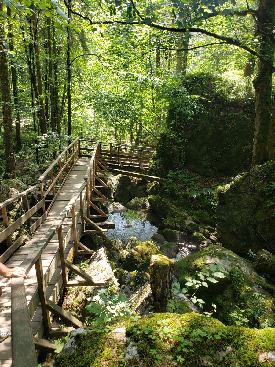 MicrobirdGames's tweet image. Real-life inspiration for &quot;Dungeons of Hinterberg&quot;: Hinterwald was inspired by the Myra falls in Lower Austra. A lovely forest hike across wooden bridges and stairs over waterfalls.