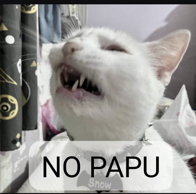 OcioLupa's tweet image. Yo cuando intento el 100% de un nivel de Bananza y ando dando vueltas por todo el sitio buscando el plátano que me falta:
