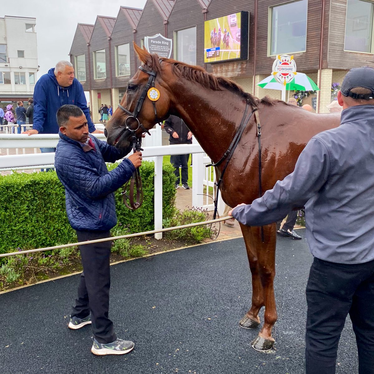 CatterickRaces's tweet image. BRAVE EMERALD and @dallan555 win the Happy Big Birthday Charlotte Handicap Stakes for @EasterbyTim and owners Ryedale Partners - congratulations to all connections!