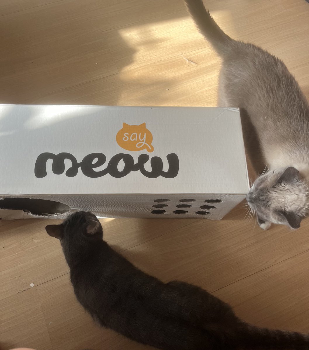 Вибачте коти, мені треба картонка