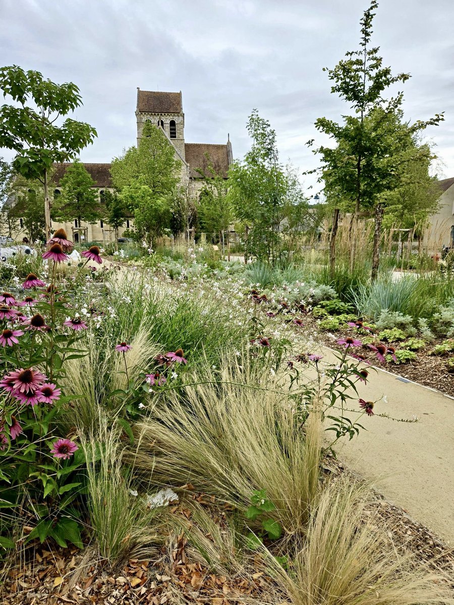 Raphaël COGNET tweet media