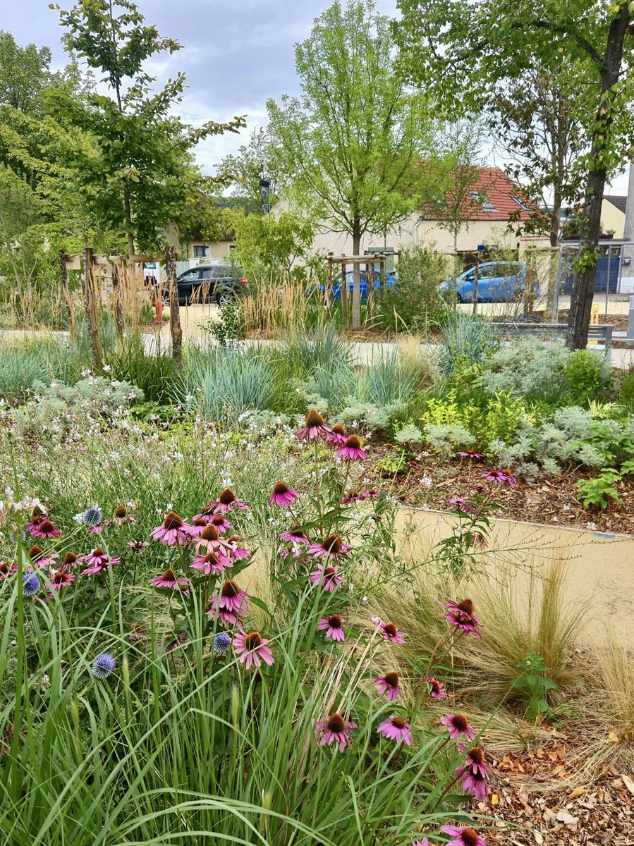 Raphaël COGNET tweet media