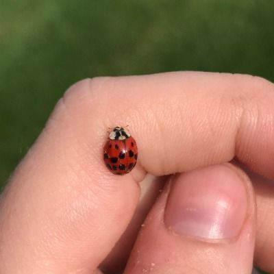 La vie est belle (@lavieestbelie) on Twitter photo 