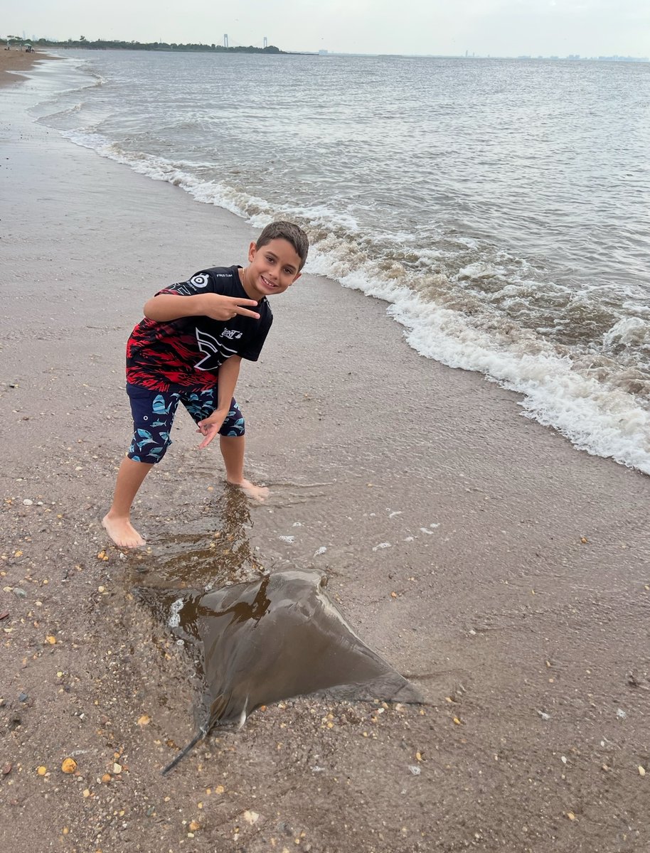 ChupacabrasGM's tweet photo. @SamChampion this was in Great Kills Gateway Park in Staten Island. My 10 year old son at the time (2023) recorded me reeling him in. What a battle. I have the video if you want it emailed. His commentary is hilarious. We had no idea these were in the water. https://t.co/EOyIHomBLw