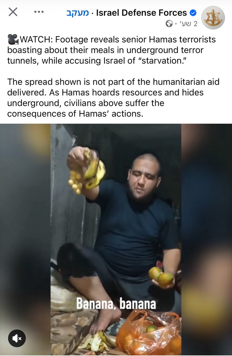 BerkoTzlil's tweet image. The terrorists are starving! Where is the international community?! Look how thin they are! 🐒🍌skin and bones! 🙄 SOS 🆘