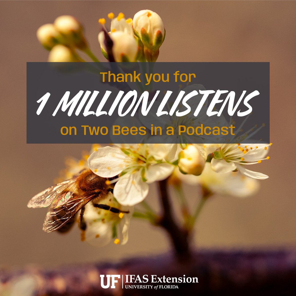 WE JUST HIT ONE MILLION LISTENS, BEEKEEPERS!
Thank you all so much for the incredible support and continued listenership over the years! Two Bees in a Podcast would not be possible without all of you.
creators.spotify.com/pod/profile/uf…