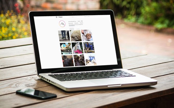 🌄 Salud animal y veterinaria cada día con Animal’s Health

👉 animalshealth.es