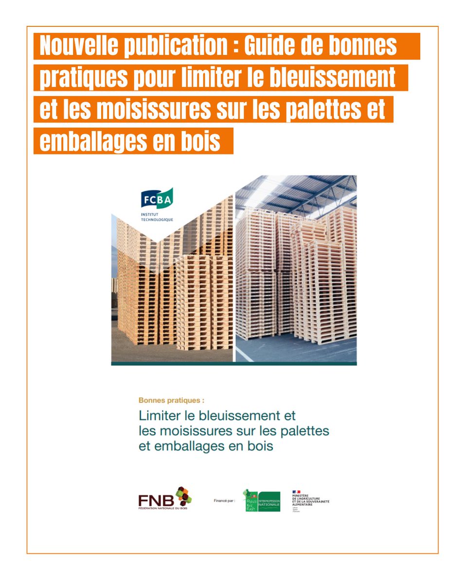 🆕 Nouvelle publication : Guide de bonnes pratiques pour limiter le bleuissement et les moisissures sur les palettes et emballages en bois

📘 Téléchargez le guide ici : fnbois.com/wp-content/upl…

#filiereforetbois #laforetensemblre