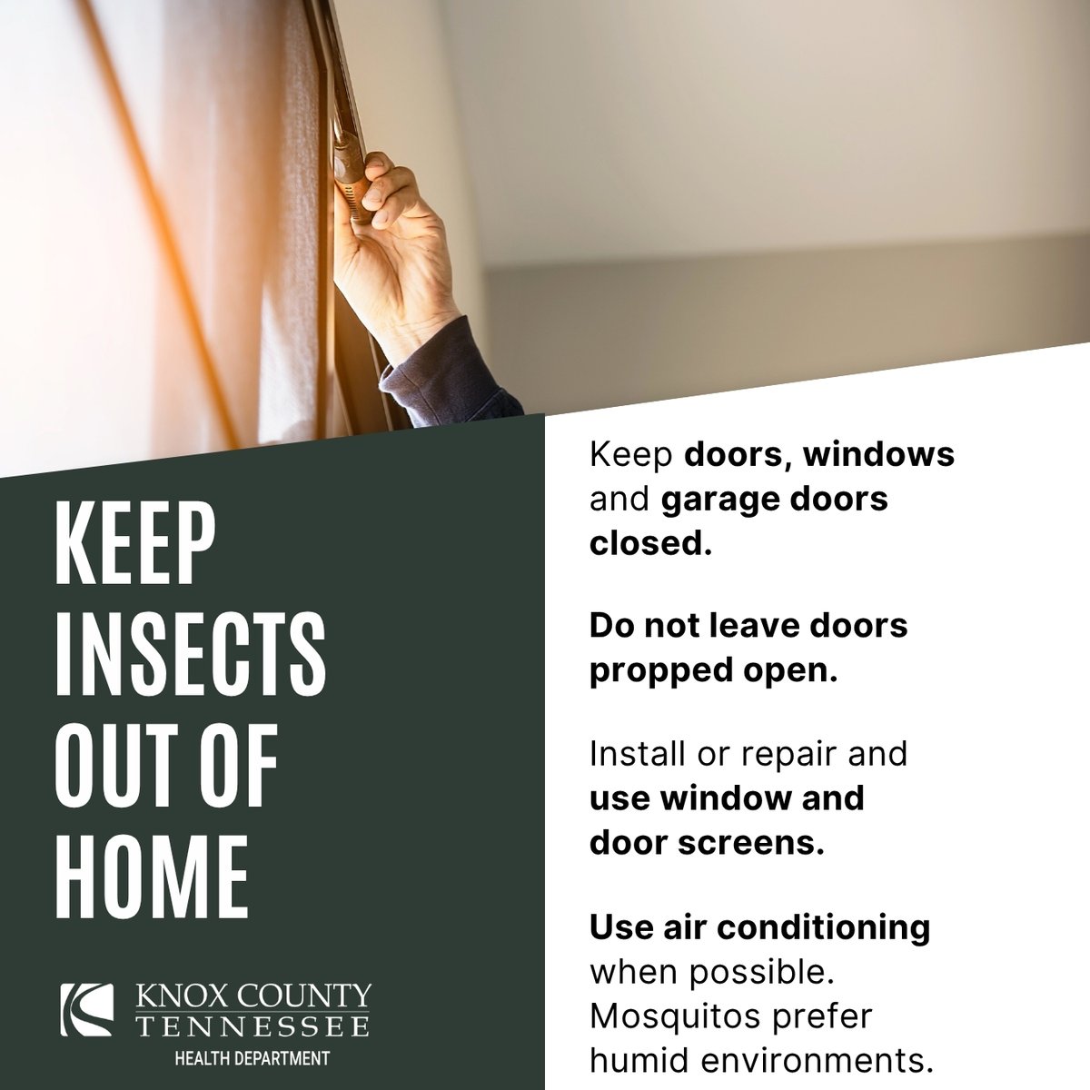 KCHD is reporting two cases of the La Crosse virus in children this month.

La Crosse virus is a mosquito-borne infection that does not cause symptoms in most people.  Severe disease occurs most often in children under 16.

View the graphics below for more info.