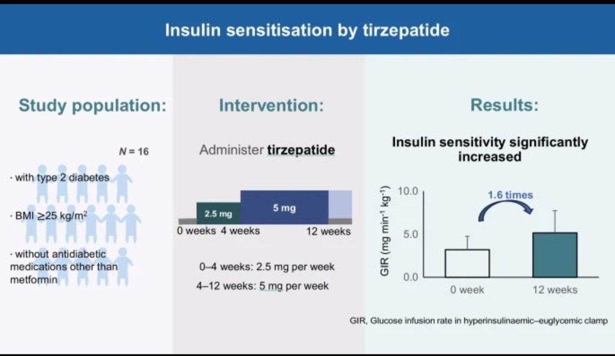 Tirzepatide at 5 mg Improves Insulin Sensitivity in Type 2 Diabetes – Clamp Study Reveals Early Benefits
<a href="/AskDrShashank/">Dr. Shashank Joshi</a> <a href="/IntDiabetesFed/">Int. Diabetes Fed.</a>
<a href="/banshisaboo/">Banshi Saboo</a> <a href="/singhak_endo/">Dr. A. K. Singh; MD, DM (Endo) 🇮🇳</a>
<a href="/KapoorNitinDr/">Dr Nitin Kapoor</a> 
🧪 Study Design
Prospective | Single-arm | Open-label | Single-centre
👥 Participants: 16 obese