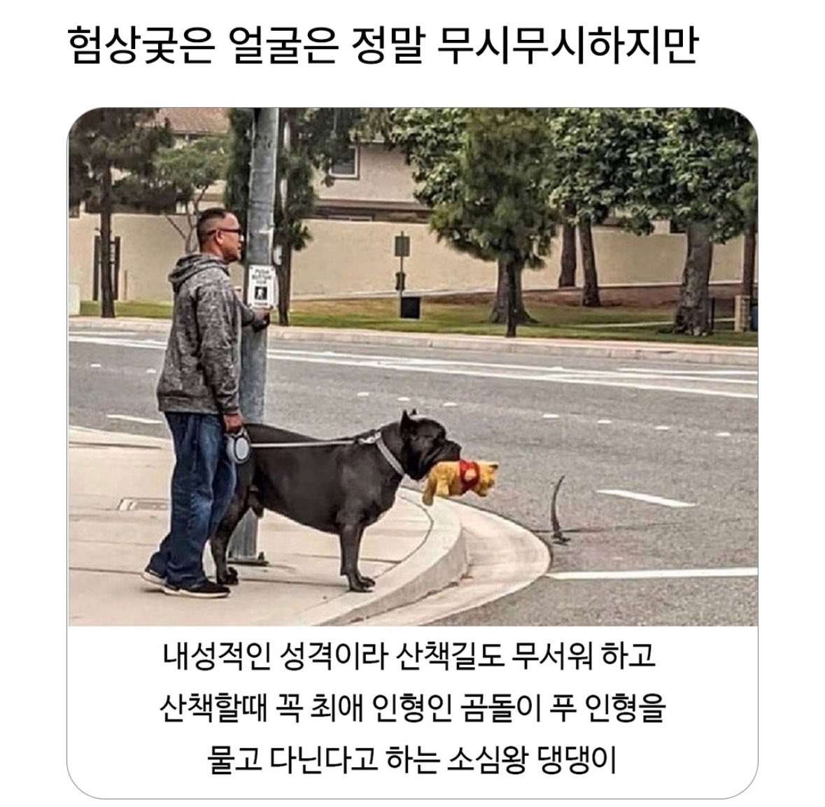 북크북크 (@akzkfltm2) on Twitter photo 