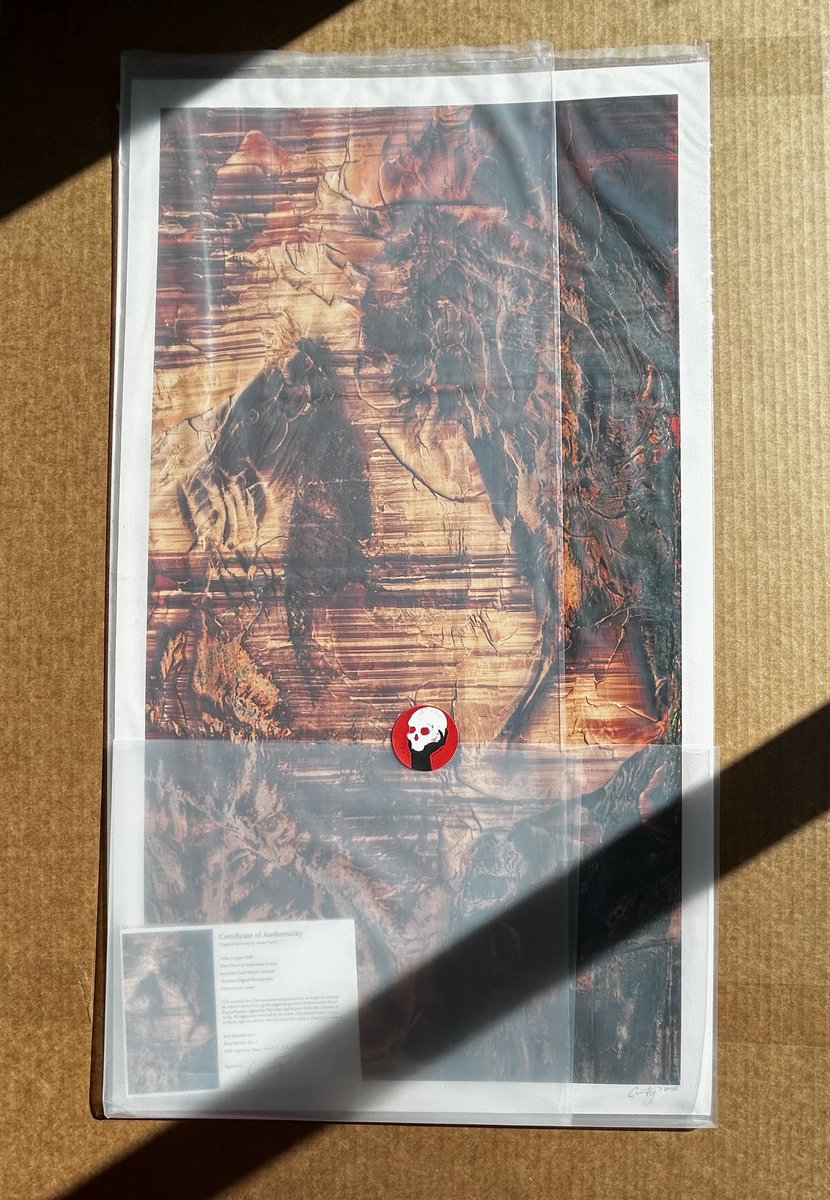 AdamCarity's tweet image. Gm!
Excited to send this fine art print of Cryptic Cliffs out to @skominers!
Super grateful for Scott for vibing with this piece.